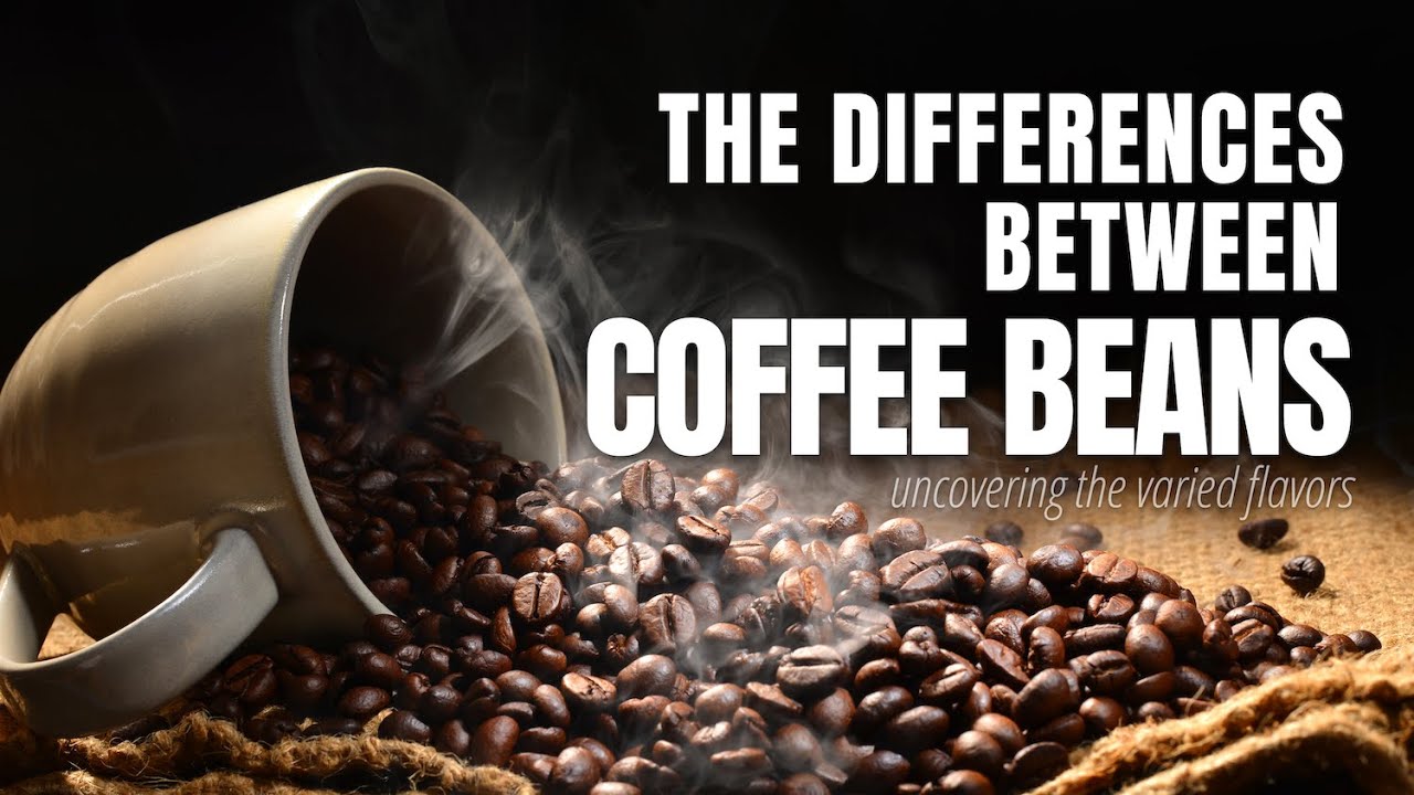 The Secrets Behind Coffee Bean Varieties The Secrets Behind Coffee Bean Varieties