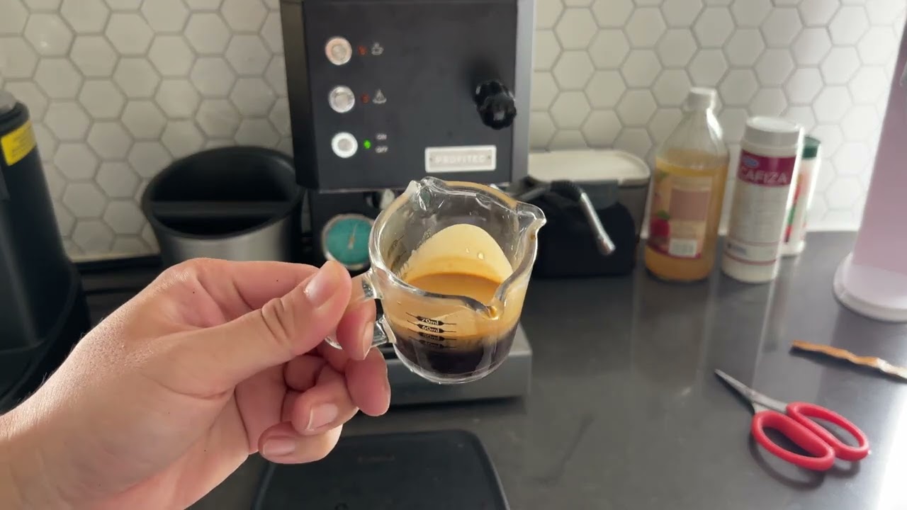 Costco Mayorga Cafe Cubano Roast Organic Espresso Beans Review Costco Mayorga Cafe Cubano Roast Organic Espresso Beans Review